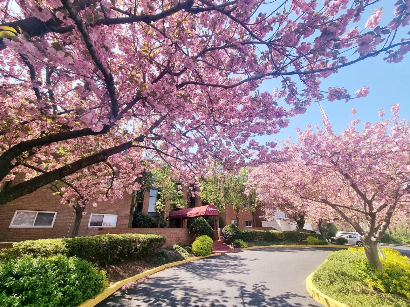 New 2br 2b Elkins Park, 1 Month Min - Parking Apartment Elkins Park